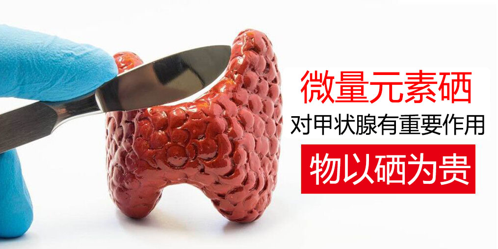 物以“硒”為貴，甲狀腺疾病能適當補硒嗎？