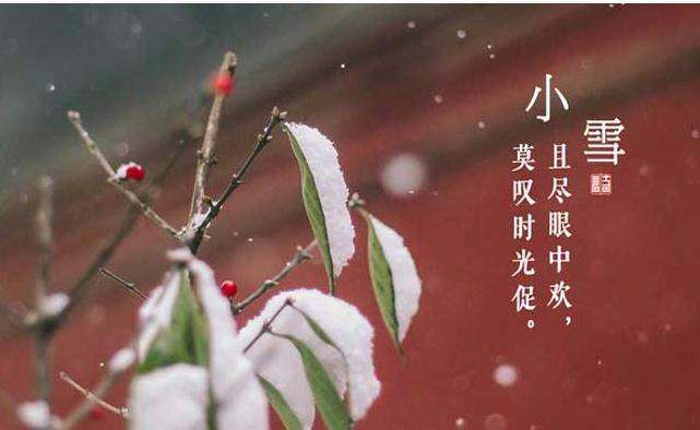 今日小雪 | 節氣養生注意“外防濕冷、內防燥熱”