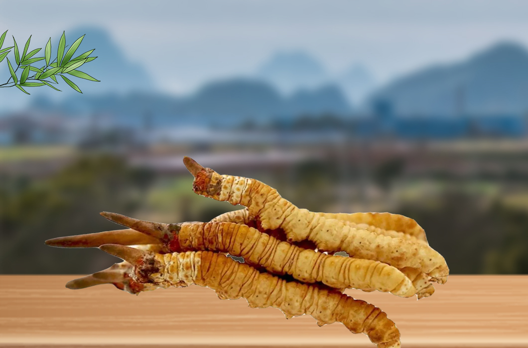 冬蟲夏草和腎病還有什么關系嗎？